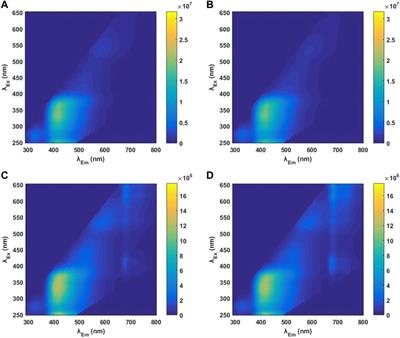 Front-Face Fluorescence Spectroscopy and Feature Selection for Fruit Classification Based on N-CovSel Method